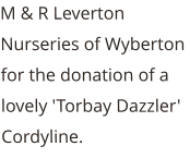 M & R Leverton Nurseries of Wyberton for the donation of a lovely 'Torbay Dazzler' Cordyline.